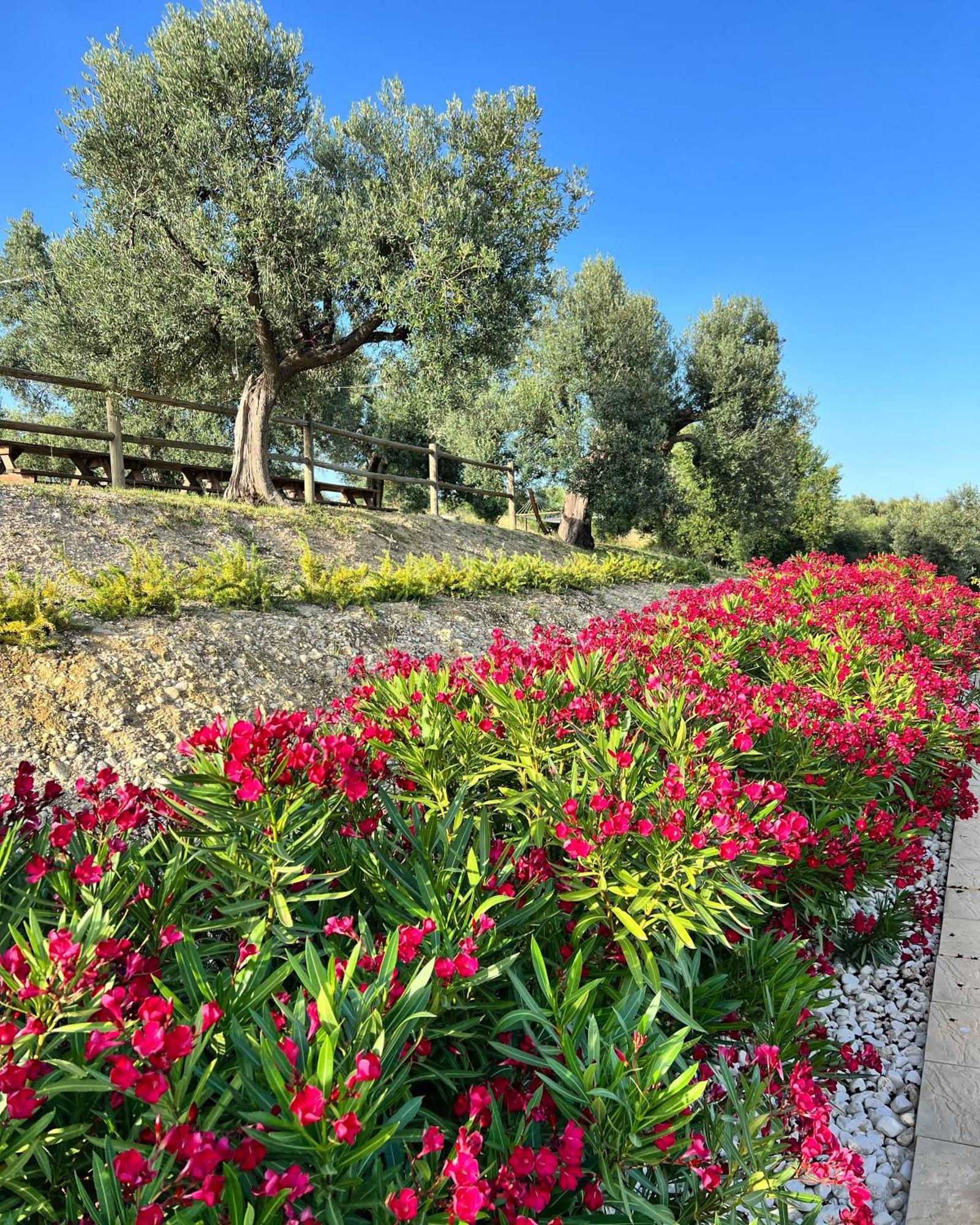 Agrirelais Collelago Massignano المظهر الخارجي الصورة